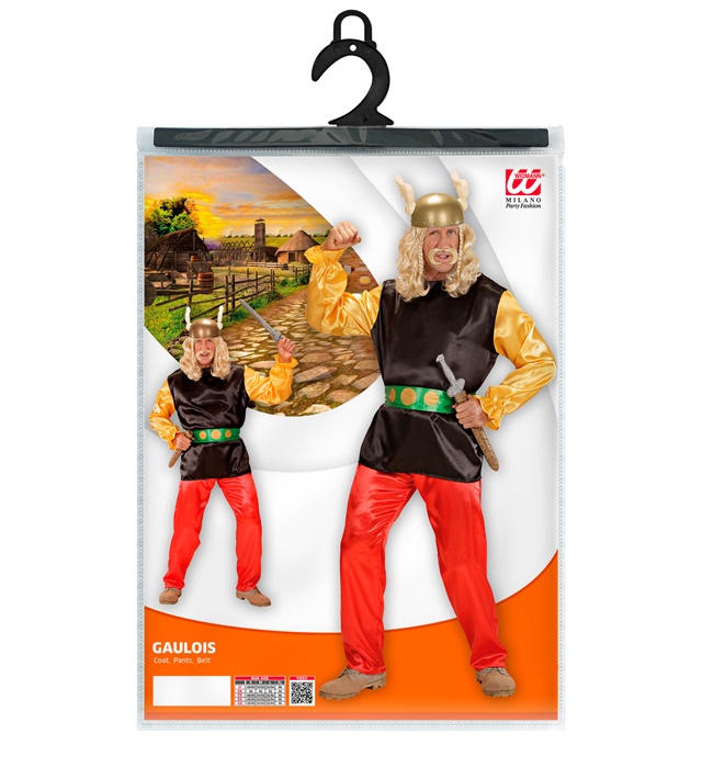 Costum Asterix