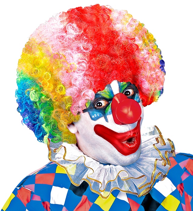 Peruca Clown Multicolora Adult