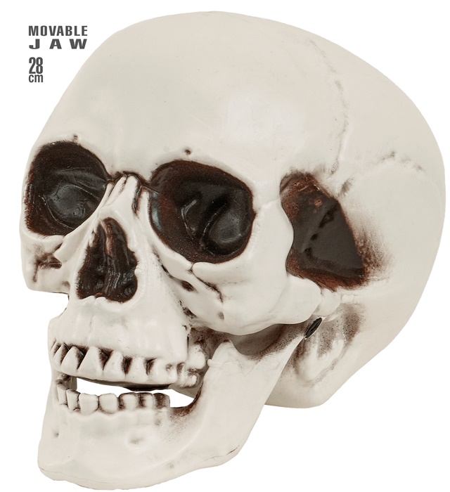 Craniu 28 Cm