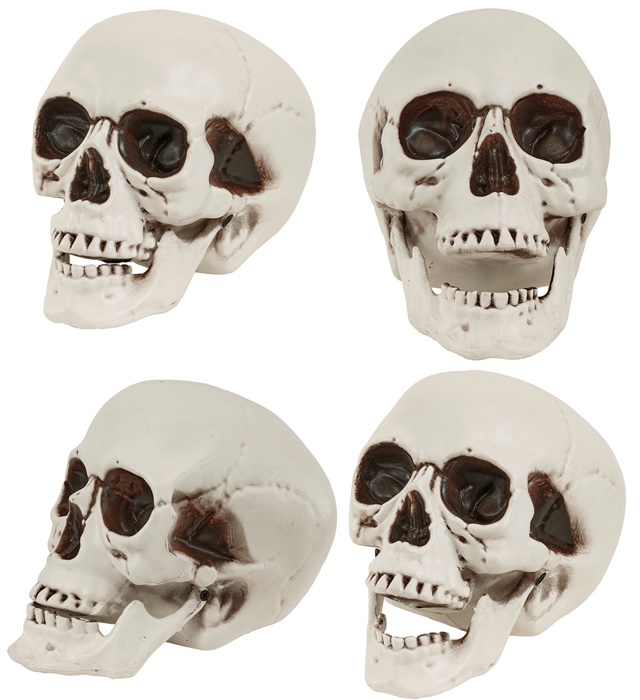 Craniu 28 Cm