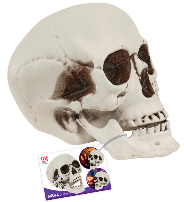Craniu 28 Cm
