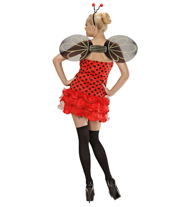 Costum Buburuza