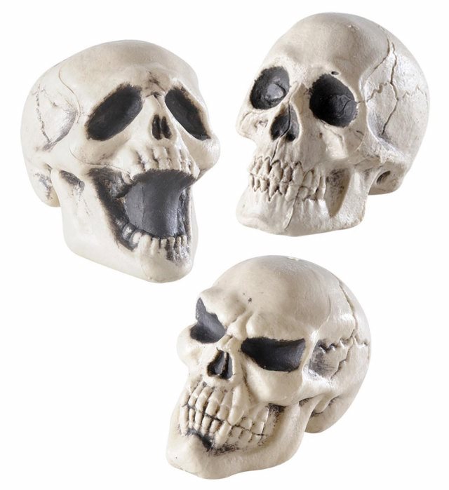 Decor Schelet