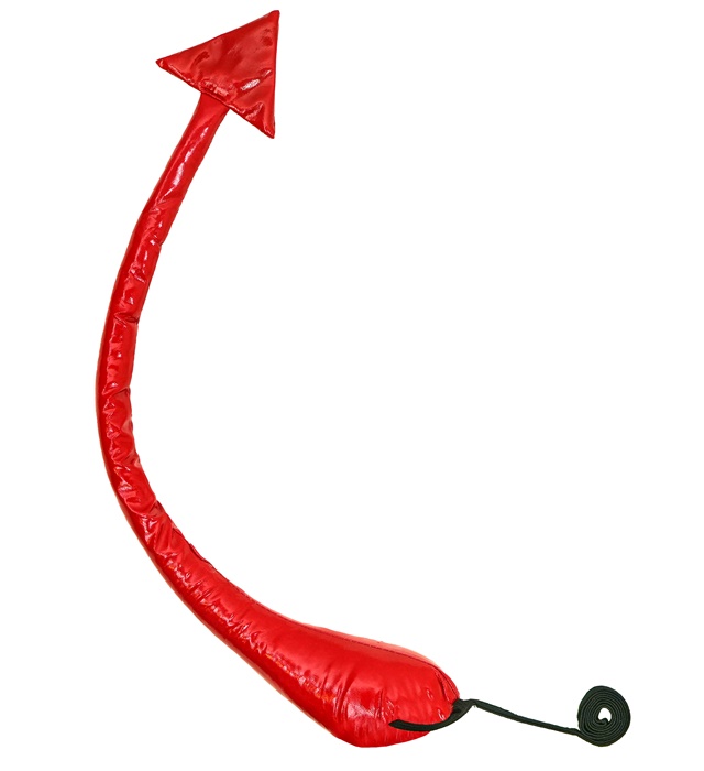 Coada Dracusor