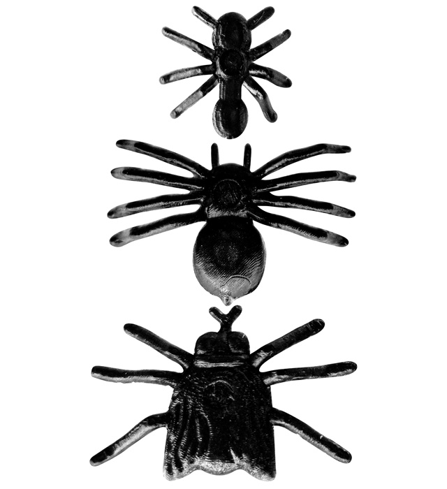 Set Insecte