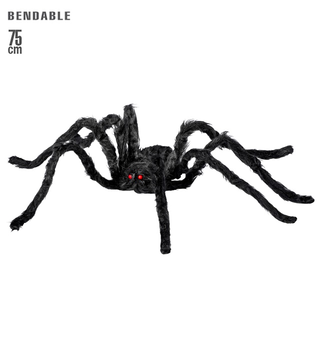 Tarantula