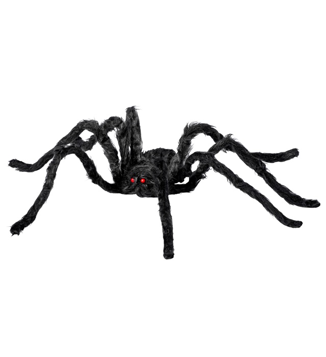 Tarantula