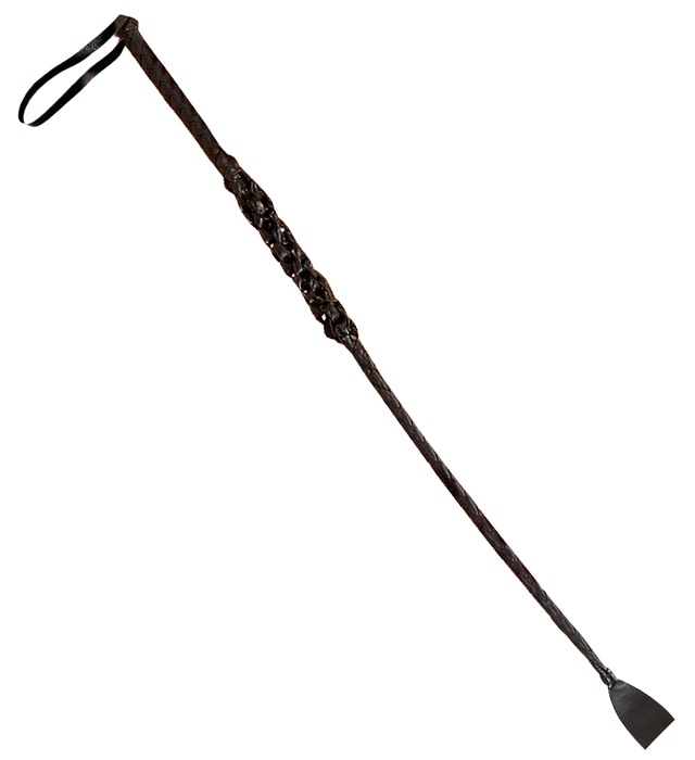 Bici Petrecere Burlacite