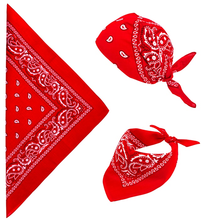 Bandana Cowboy