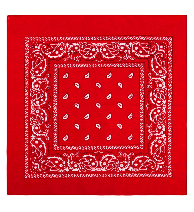 Bandana Cowboy