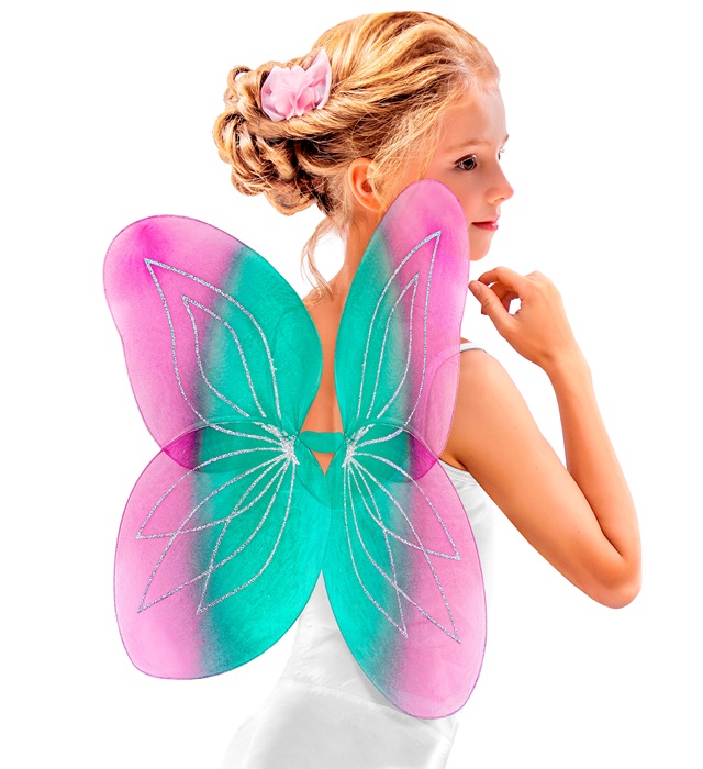 Aripi Fluture Copii Roz