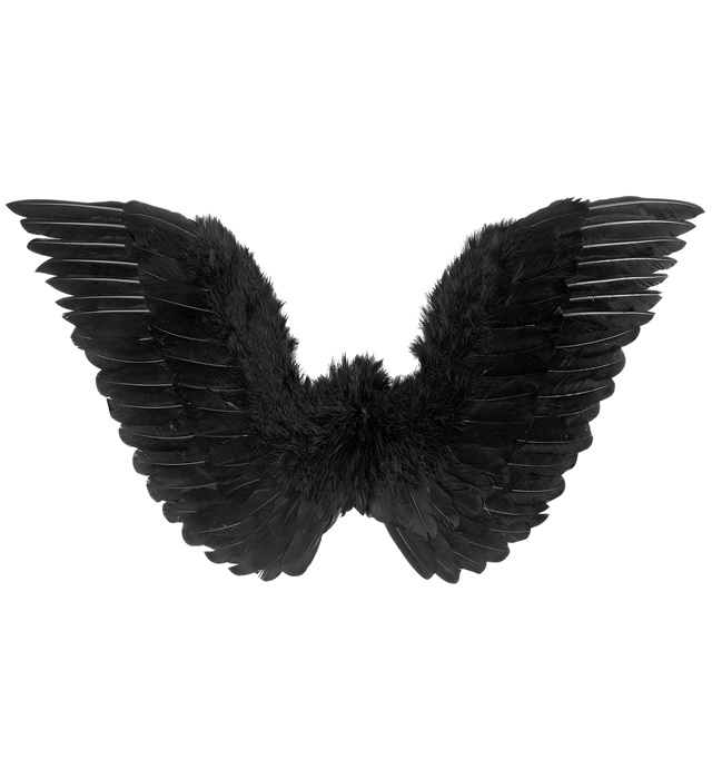 Aripi Pene Negre