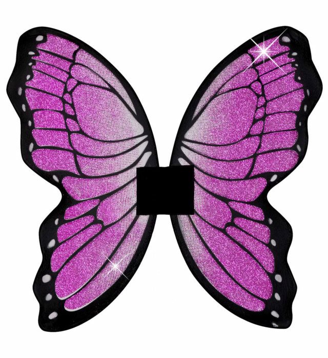 Aripi Fluture
