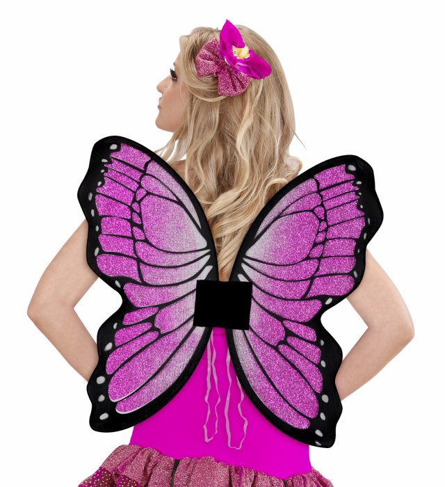 Aripi Fluture