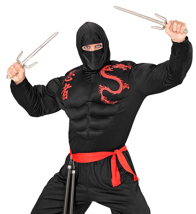 Arma Ninja