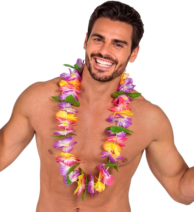 Ghirlanda Hawaii Multicolora Cu Frunze