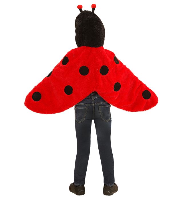Costum Buburuza 2-4 Ani